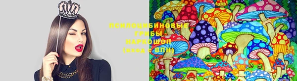 прущие грибы Алексин
