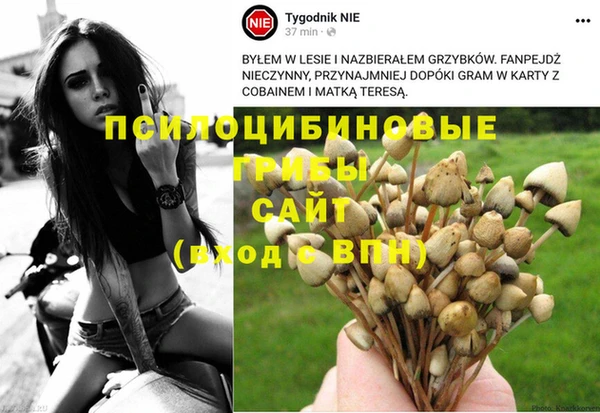 кокаин премиум Алзамай