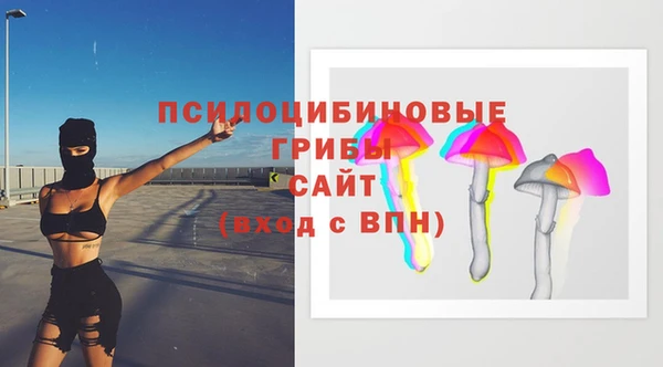 прущие грибы Алексин