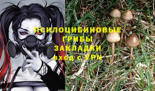 каннабис Алексеевка