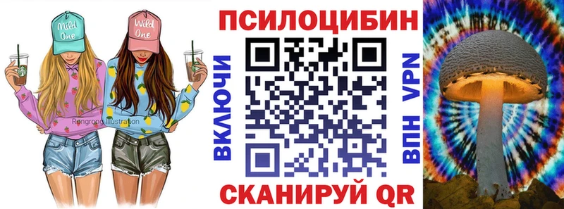 kraken ТОР  Любим  Галлюциногенные грибы GOLDEN TEACHER 
